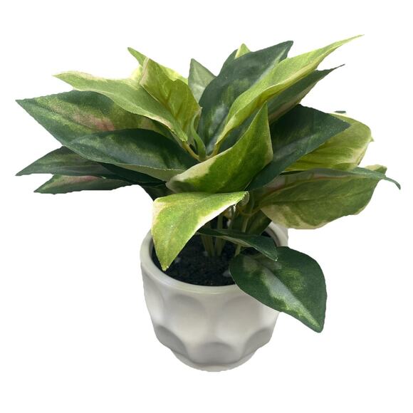 Allen + Roth Artificial Potted Hoya Green Plant/ White Pot. #4661237. {107}. - Picture 1 of 7